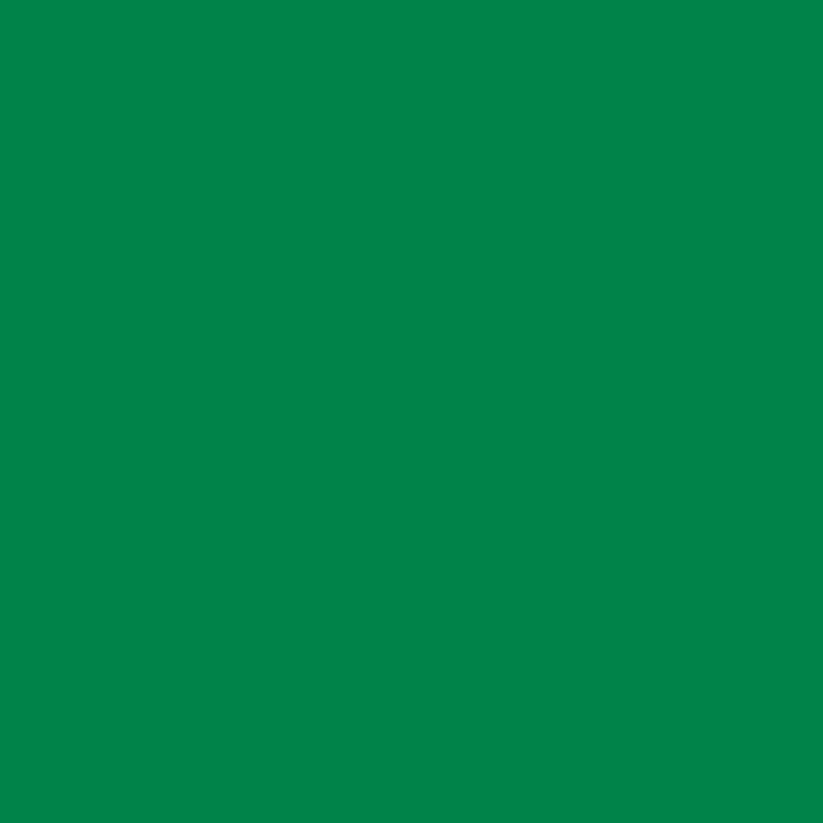 3M Scotchcal pellicola colorata 100-027 verde chiaro 1,22 m x 25 m